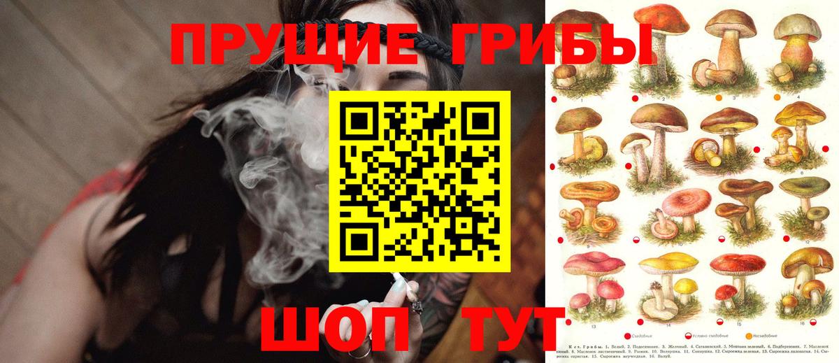 Меф МЯУ МЯУ   Каннабис  КОКАИН  Клинцы  Вход с VPN  ГАШИШ 